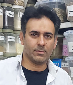 سید مهدی سید ابراهیمی