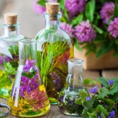 عرقیات گیاهی